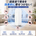 gid://shopify/MediaImage/42650694680835